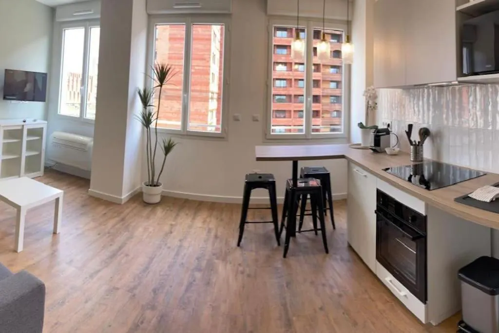 Appartement Clim Ascenseur R4 T2 Moderne Au Coeur De Toulouse