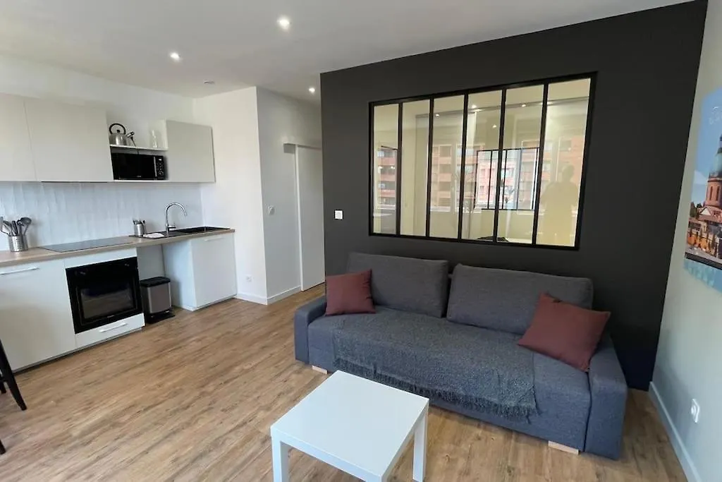 Appartement Clim Ascenseur R4 T2 Moderne Au Coeur De Toulouse