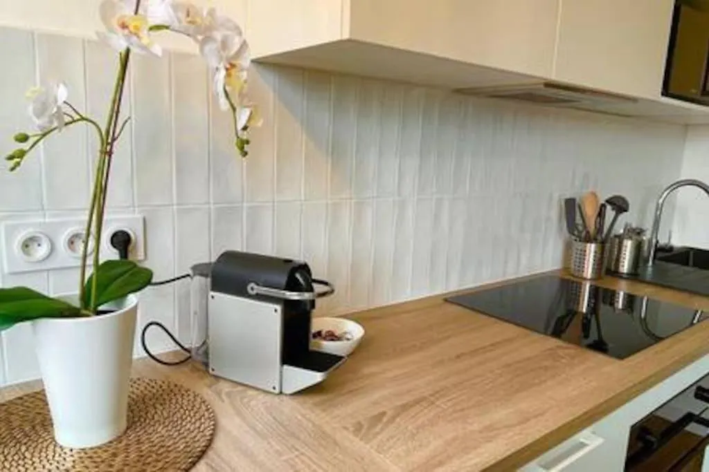 Appartement Clim Ascenseur R4 T2 Moderne Au Coeur De Toulouse