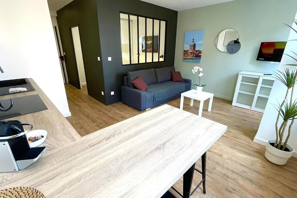 Appartement Clim Ascenseur R4 T2 Moderne Au Coeur De Toulouse